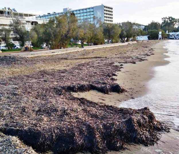 Αγίου Νικολάου Μικρό Καβούρι 1