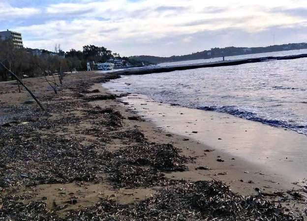 Αγίου Νικολάου Μικρό Καβούρι 2