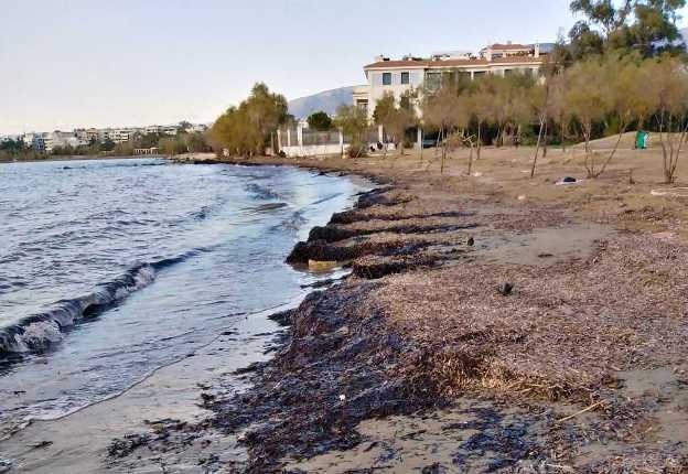 Αγίου Νικολάου Μικρό Καβούρι 6