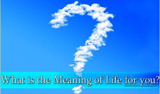 The meaning of Life